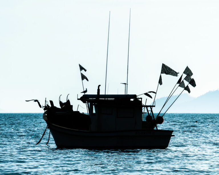 Pesca na costa catarinense